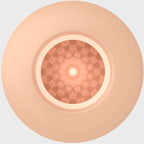 PRETTY LOVE - MASTURBATORE MASCHILE UOVO CARNE MODELLO 2