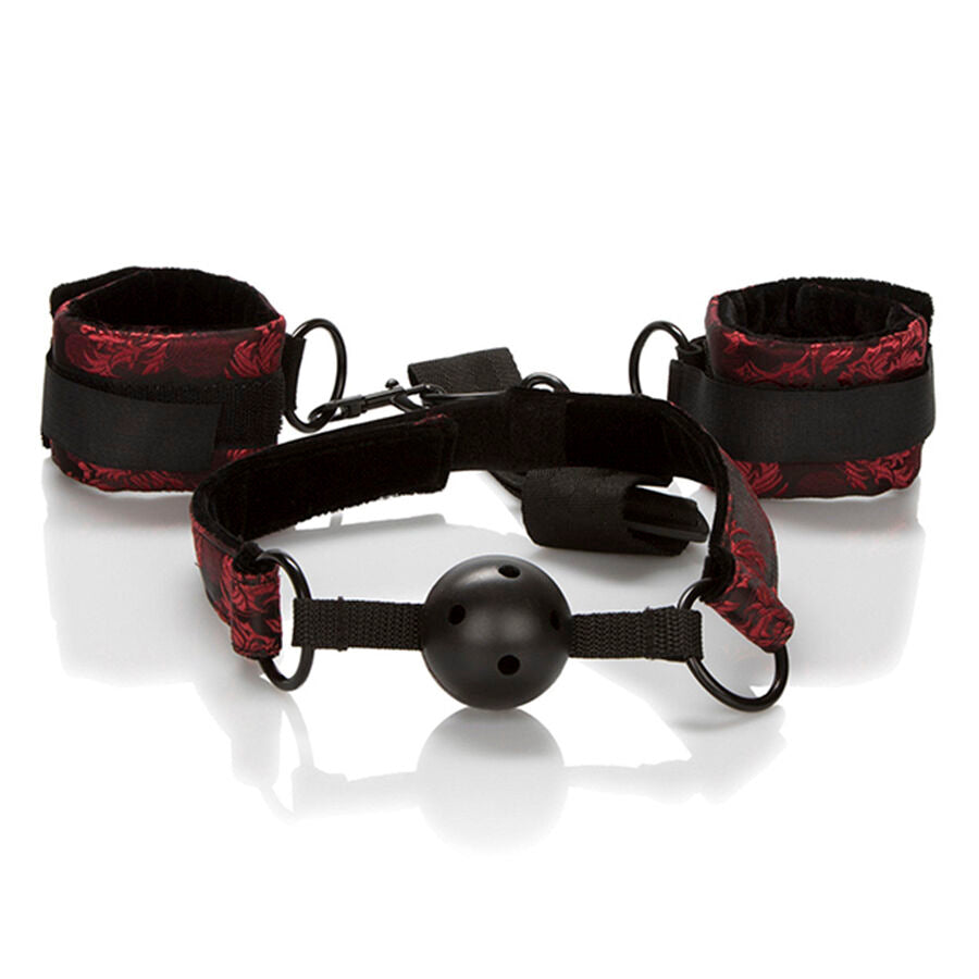 CALEXOTICS - SCANDAL BALL GAG TRASPIRANTE CON MANETTE