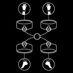 FETISH SUBMISSIVE - SET DI MANETTE PER MANI E CAVIGLIE CON FODERA IN NOPRENE